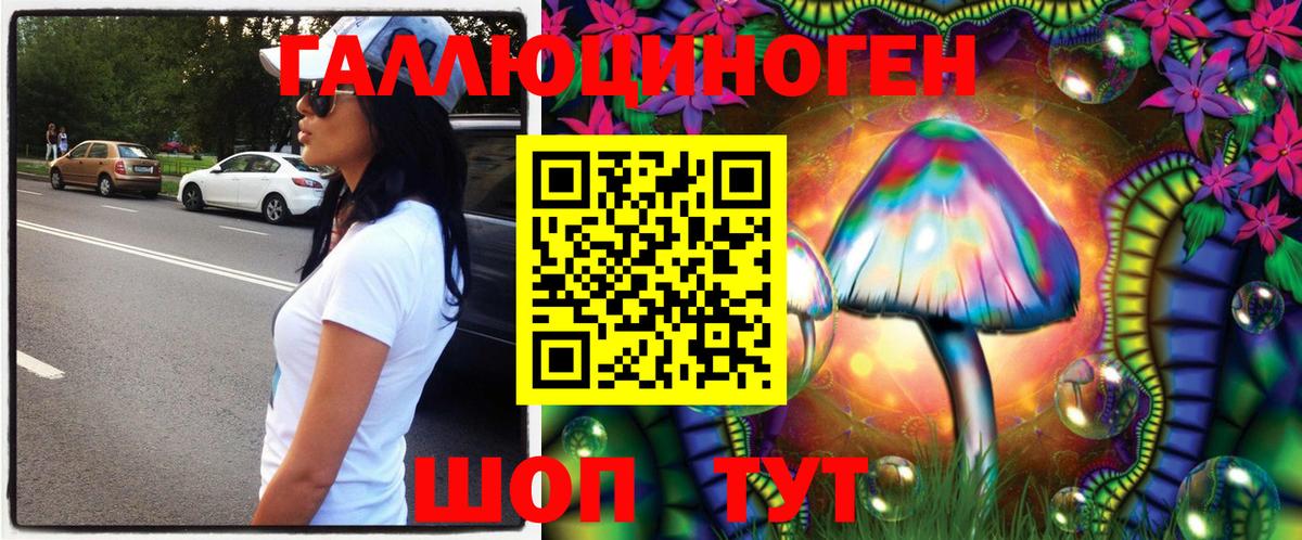 Псилоцибиновые грибы мицелий Медногорск